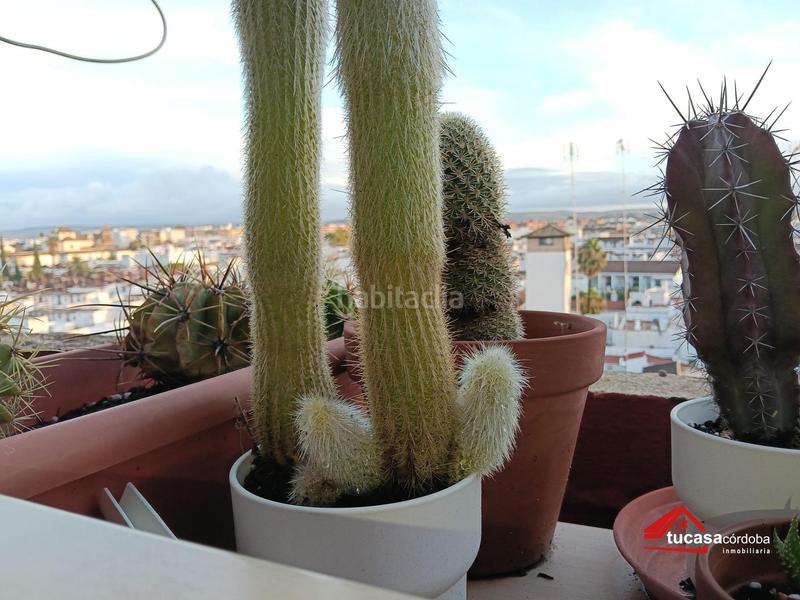 Foto 5b2bc6bb-891a-4c0c-88d4-00b715d62f4a. Appartement dans Ollerías - San Cayetano Córdoba