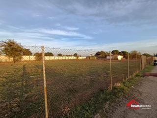 Rural plot in El Higuerón. Terreno rural en el higuerón espacio ideal para crear tu proyect