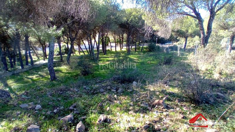 Foto 178c4643-9f98-41be-aa04-283cfd2bfb19. Wohngrundstück in Alcolea Córdoba