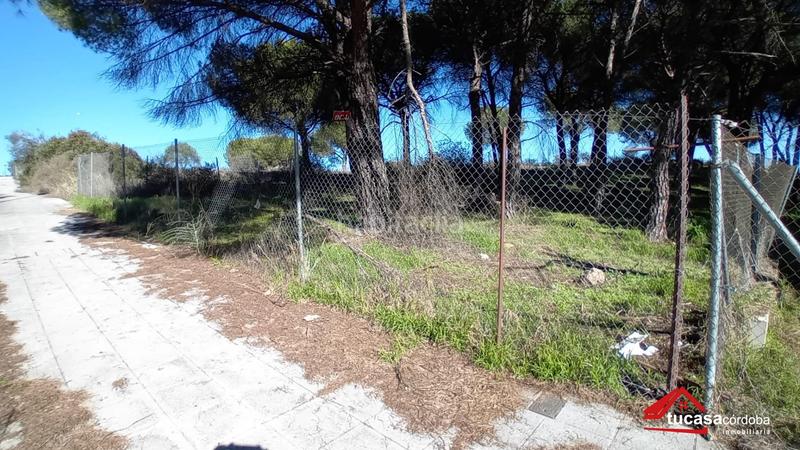 Foto 8f6e506b-aa2d-4c0d-8881-34a18091c57a. Wohngrundstück in Alcolea Córdoba