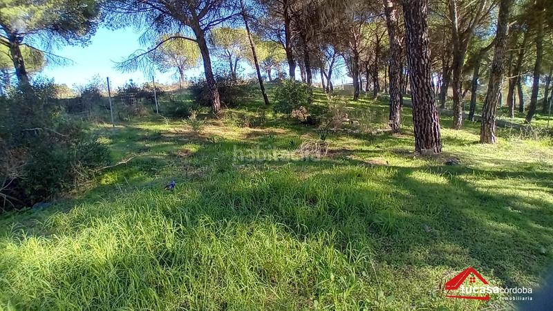 Foto a1895faf-80a5-4e82-a5c2-15467c88ce10. Wohngrundstück in Alcolea Córdoba