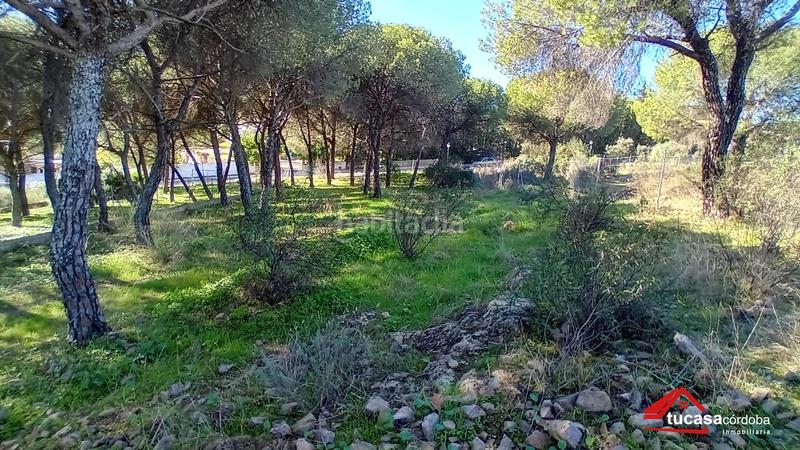 Foto bb583e96-6888-4afc-a5a5-a35c7dc0055c. Wohngrundstück in Alcolea Córdoba