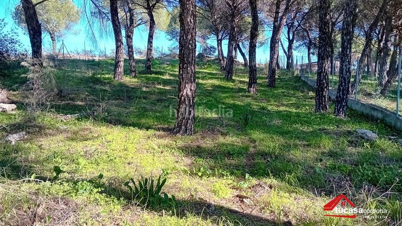 Foto c600d7f8-1bcc-44b2-ad21-899e107fef5f. Wohngrundstück in Alcolea Córdoba