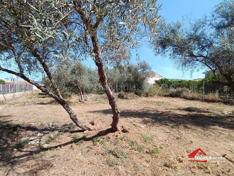 Foto ae46d627-865d-4d6a-b856-7ff34cb9e0f7. Masía estrena casa en la barquera con 950 m2 de terreno no hipotecable en Córdoba