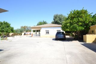 Masía en El Higuerón. Tu oasis privado a un paso de córdobaespectacular parcela en avd