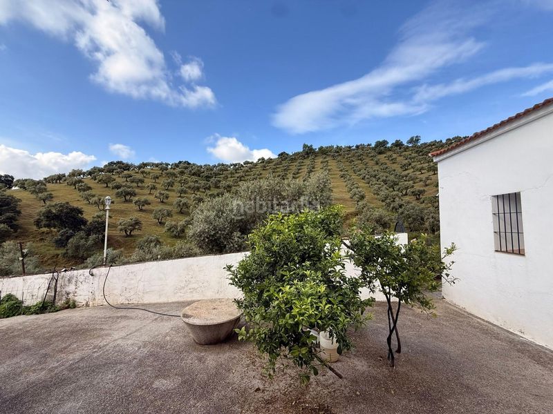 Foto 172238a9-3f1e-4ac9-b173-a8749dd3f408. Masia amb aparcament a Obejo