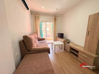 Alquiler Piso en Santa Rosa - Valdeolleros. Amplia vivienda en alquiler en santa rosa  luminosa y totalmente