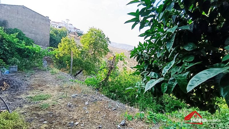 Foto ae7f6001-f1e9-41e1-b5fe-9ee76eb1ee82. Casa amb aparcament a Obejo