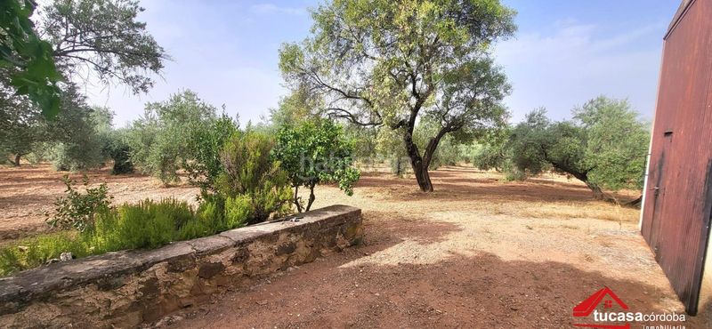 Foto 0bc77fd6-b9f0-425a-96d6-17e26a105ef5. Finca rústica a Montoro