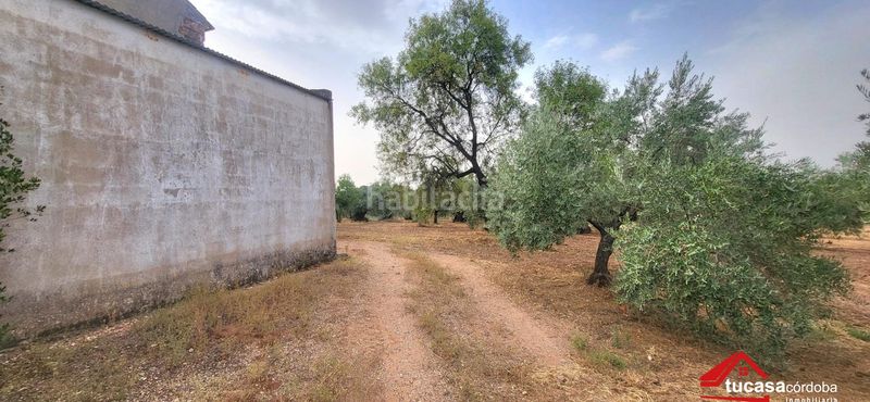 Foto e505b637-5fa4-46d5-b698-8434f1e9e978. Finca rústica a Montoro