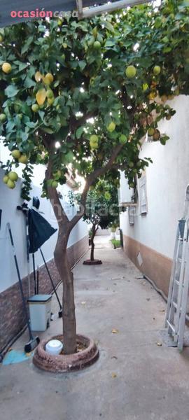 Foto e4753b03-cbba-4afa-b2f5-b34ada3d8d12. Chalet en El Higuerón Córdoba