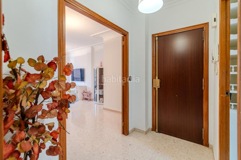 Foto 00d517b1-7906-4bb2-8dd4-d44bbf3f3ce8. Pis a Cañero Córdoba