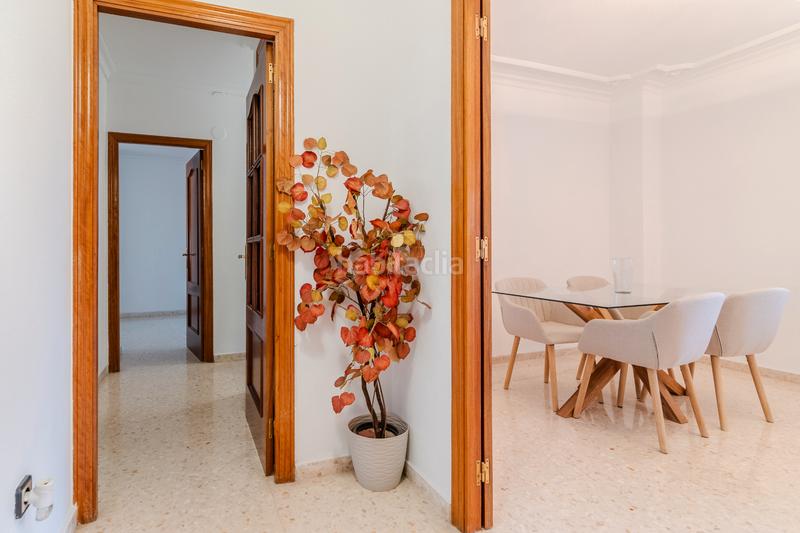 Foto 258d0821-0ec8-4e35-b1ac-7f78ea966803. Pis a Cañero Córdoba