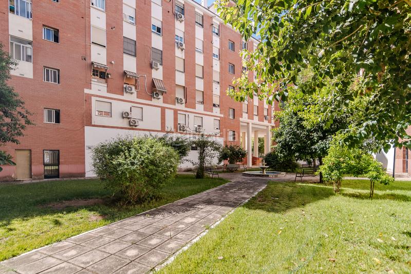 Foto 5456653f-ffc5-465d-8ade-23cad991114a. Pis a Cañero Córdoba