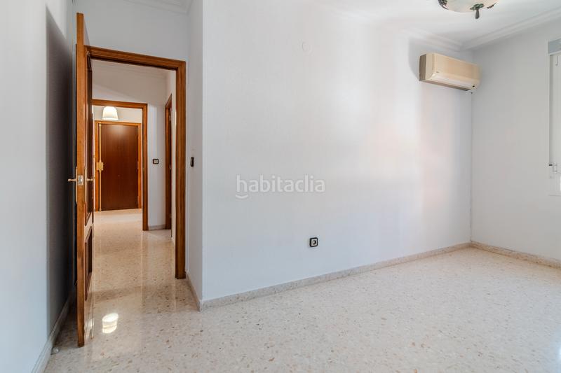 Foto a5a72b69-d079-4b29-a244-eb5d384e97a0. Pis a Cañero Córdoba