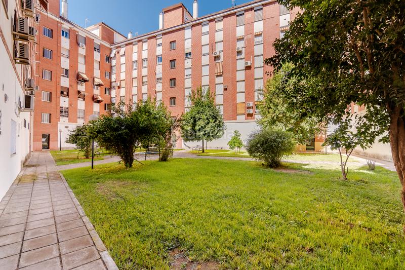 Foto b172fe9a-f884-482d-aa5b-0cbf0b6551c7. Pis a Cañero Córdoba