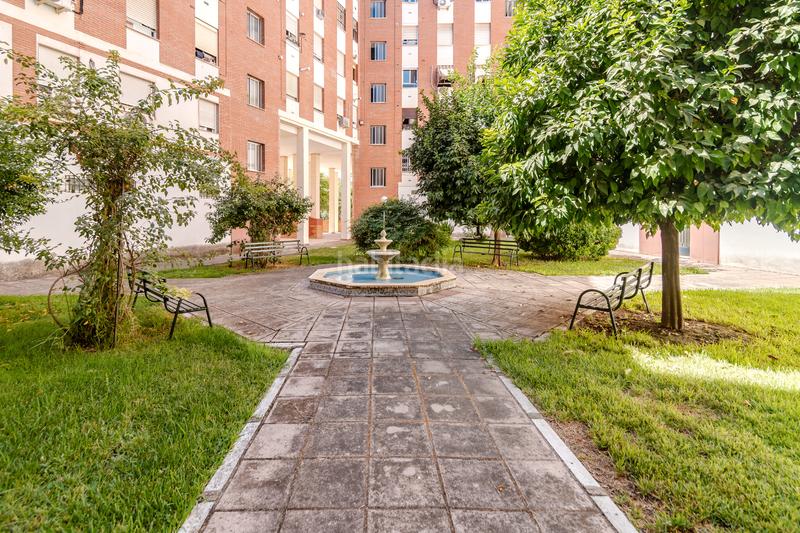 Foto d266af88-000f-49de-bebf-1b327455fe63. Pis a Cañero Córdoba