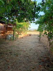 Finca rústica a Alcolea. Terreno de 838 m2 en camino carbonell | 69.500€