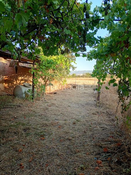 Foto 2cf70f7e-d1a0-4c6f-bad9-4423e8b88d7e. Finca rústica a Alcolea Córdoba
