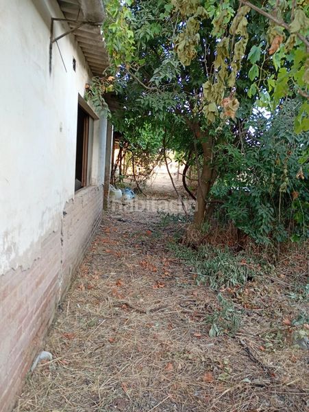 Foto b7758050-3872-4561-8502-c7ac61e07200. Finca rústica a Alcolea Córdoba
