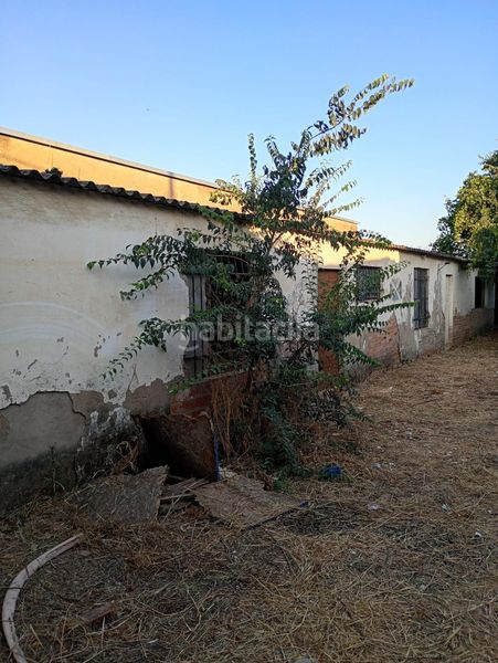 Foto bbf9b98c-d2c7-4d47-a3f0-913ad776ee05. Finca rústica a Alcolea Córdoba