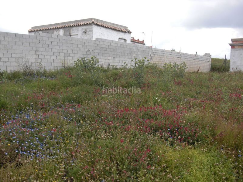Foto 48528dc5-c914-4fc3-9b2f-80d3222718e5. Masia a Vejer Vejer de la Frontera