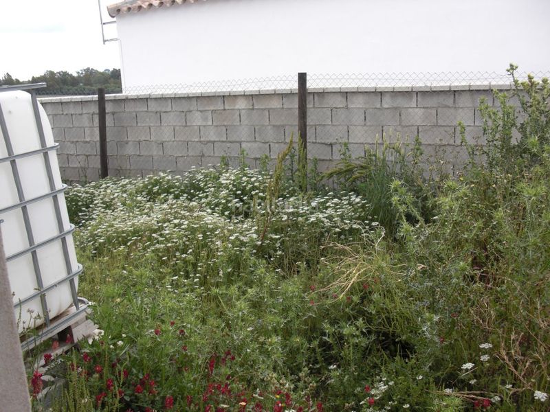 Foto d3f6301c-ef17-4b7f-83af-c2ba4dee63a5. Masia a Vejer Vejer de la Frontera