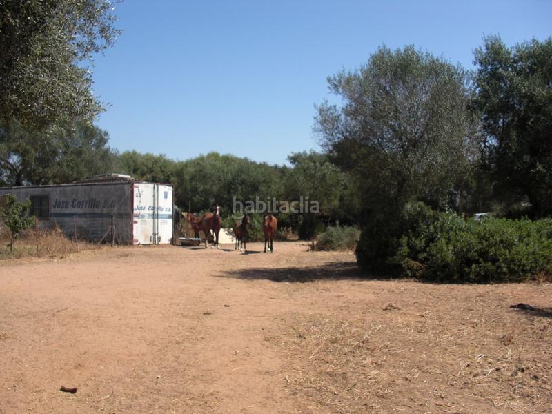 Foto 17c90168-a8f0-4246-99f8-4dc1628e3b26. Terreno residencial finca rúst. en venta en la muela. en Vejer de la Frontera