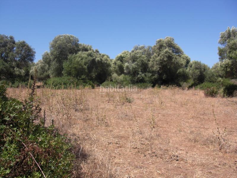 Foto 3237900e-cbce-4b31-9a12-b88f0847cb30. Terreno residencial finca rúst. en venta en la muela. en Vejer de la Frontera