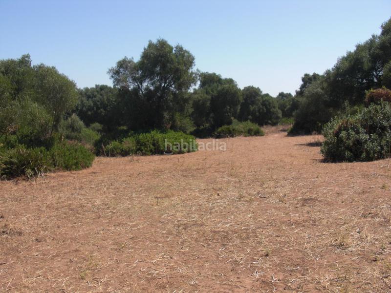 Foto 33baa529-a181-446f-9761-560f99ba6b84. Terreno residencial finca rúst. en venta en la muela. en Vejer de la Frontera