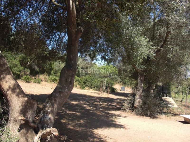 Foto b0d0f4f3-ee37-4ebb-908b-452f841bb377. Terreno residencial finca rúst. en venta en la muela. en Vejer de la Frontera