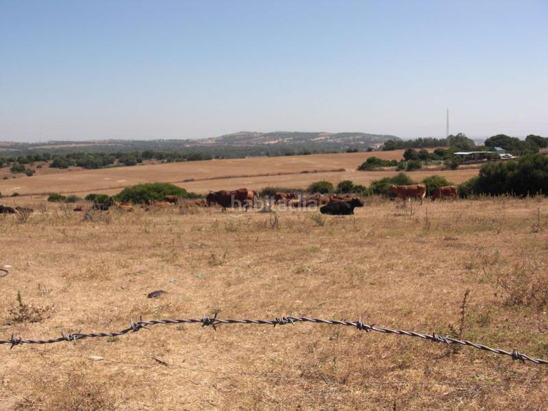 Foto b4044ac4-c6b1-4f2f-9225-efa8902ccf40. Terreno residencial finca rúst. en venta en la muela. en Vejer de la Frontera