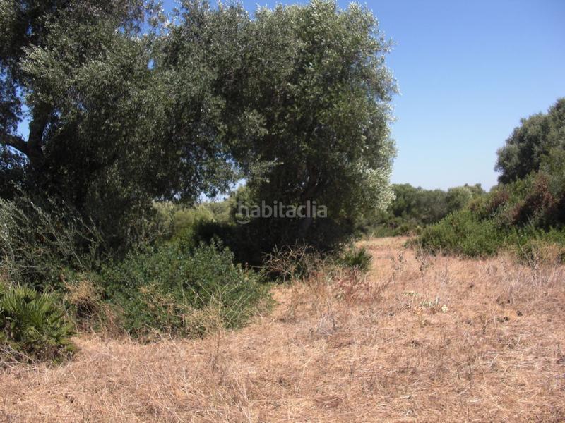 Foto cfc2911b-c7dc-41f1-9b13-d8d64490b15e. Terreno residencial finca rúst. en venta en la muela. en Vejer de la Frontera