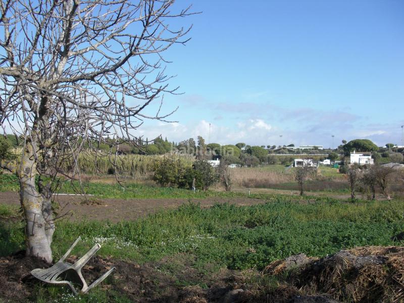 Foto 16555be7-e6e4-4ea6-b157-44730777e72a. Masía finca rúst. en venta en el soto. en Barbate Barbate