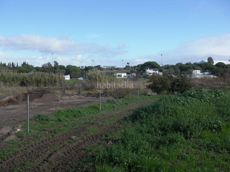 Foto 1c584a83-dea4-467c-bb6f-86162033eba8. Masía finca rúst. en venta en el soto. en Barbate Barbate