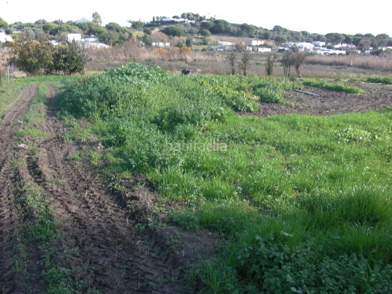 Foto 1f7fcc33-ad31-4404-b77e-6bb8312c288f. Masía finca rúst. en venta en el soto. en Barbate Barbate