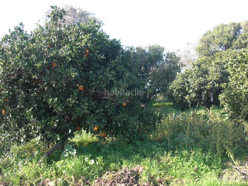 Foto 21456604-7bb6-43eb-8d25-1b92aa6e60b9. Masía finca rúst. en venta en el soto. en Barbate Barbate