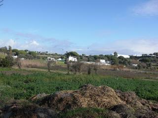 Bauernhof in Barbate. Finca rúst. en venta en el soto.