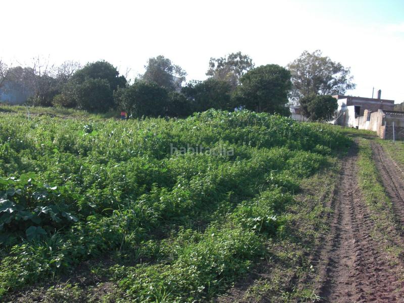 Foto 2d22b6d8-0fb5-4013-b66b-196aaa6e959f. Masía finca rúst. en venta en el soto. en Barbate Barbate