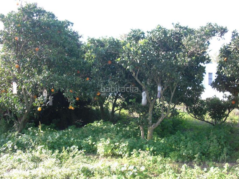 Foto 2f7d4b78-9681-4f6d-aed4-48e03644edf8. Masía finca rúst. en venta en el soto. en Barbate Barbate