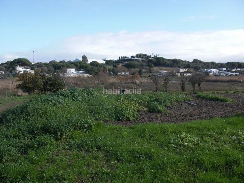 Foto 7b9f03e9-21d2-4a95-b308-92bbfb7d55f8. Masía finca rúst. en venta en el soto. en Barbate Barbate