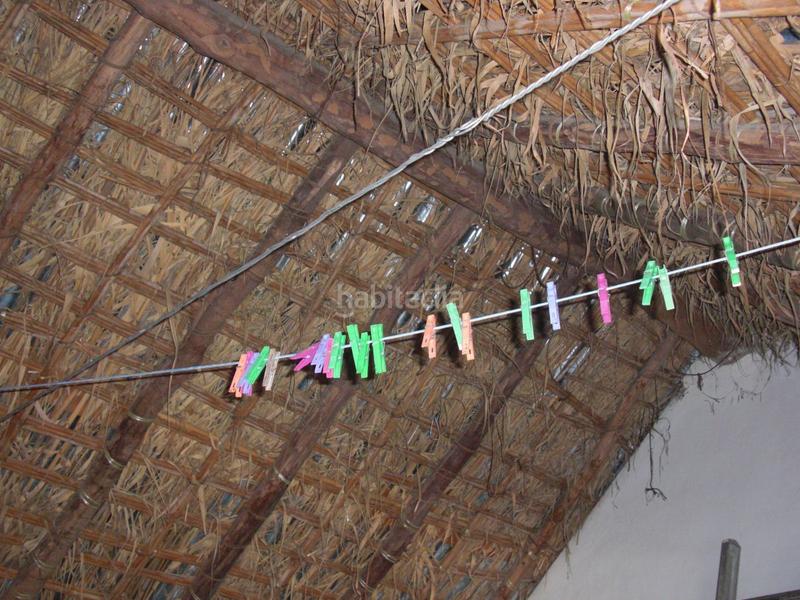 Foto f85a6218-3e25-4a64-9425-fcbf5bcff1a8. Masía finca rúst. en venta en el soto. en Barbate Barbate