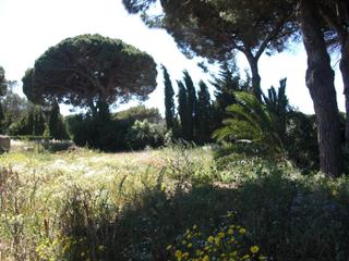 Masia a La Muela. Finca rúst. en venta en la muela.