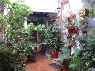Lloguer Apartament a Vejer. Apartamento en alquiler en casco antiguo, 1 dormitorio.