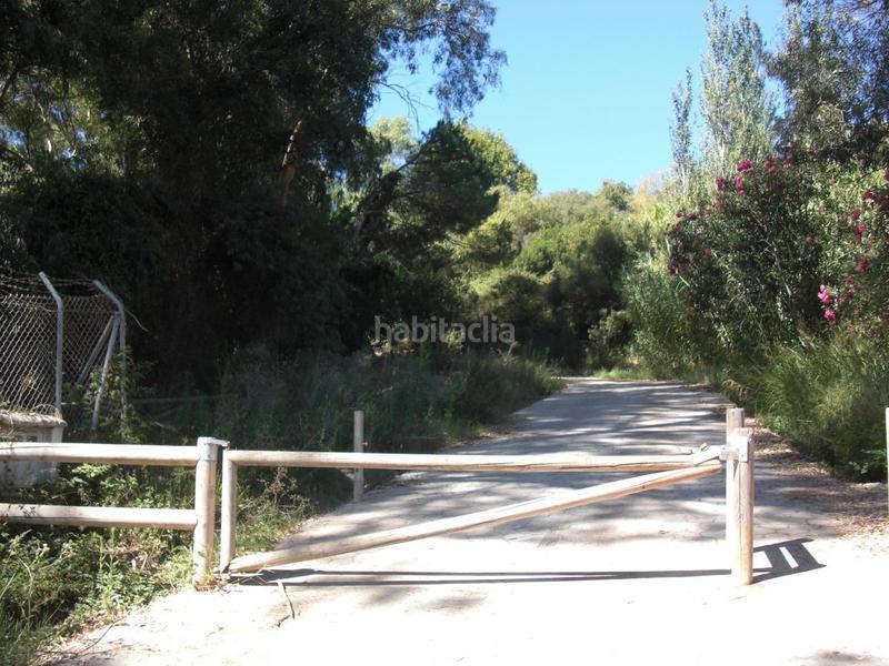 Foto a447007e-9b42-4822-b6aa-3838903a1f32. Fondo rustico in Vejer Vejer de la Frontera