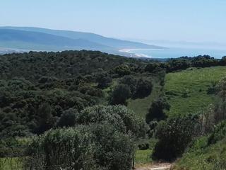 Finca rústica a Vejer. Finca rúst. en venta en nueva zona, 3 dormitorios.