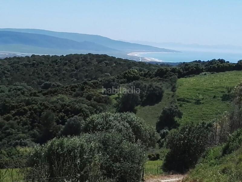 Foto 35b3b037-ca57-463b-a805-a53b4e346a3c. Finca rústica a Vejer Vejer de la Frontera