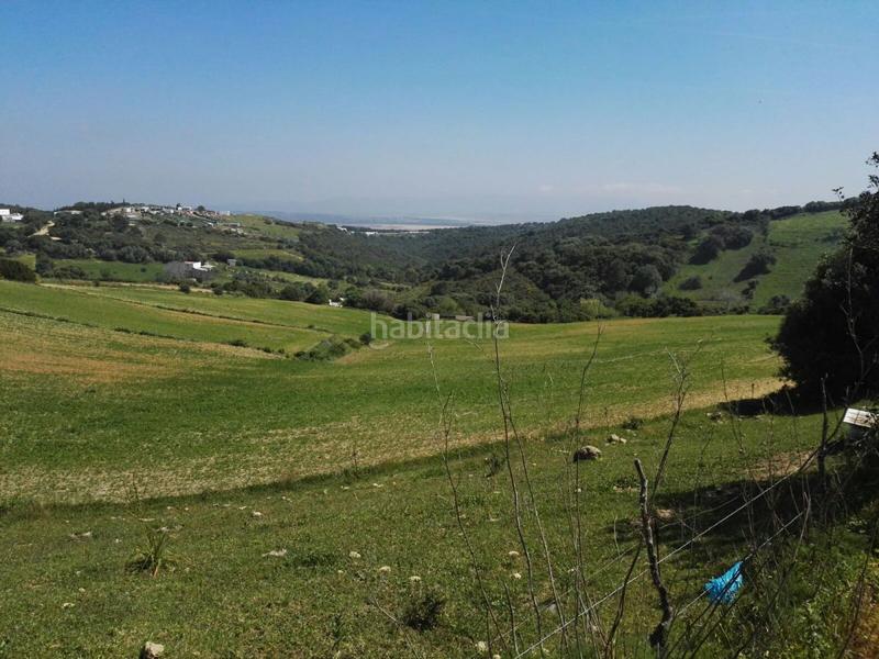 Foto cdbbc8a0-72b7-432e-974d-29bfe50ff8f4. Finca rústica a Vejer Vejer de la Frontera