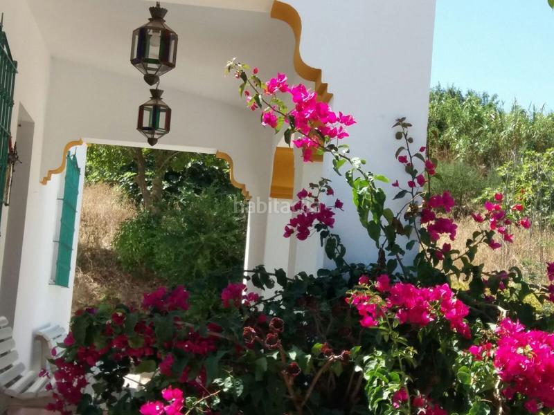 Foto eb416463-8d47-4cd9-9fb8-949181fe2346. Finca rústica a Vejer Vejer de la Frontera