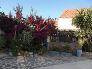 Masia a Vejer. Finca rúst. en venta en cañada ancha, 6 dormitorios.